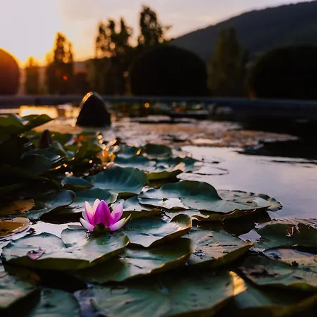 Bed and Breakfast Rucellai Πράτο