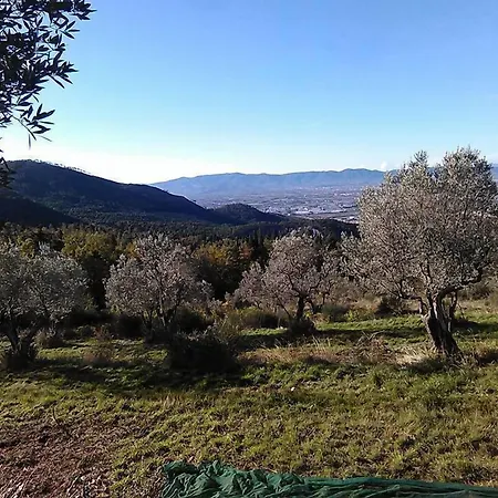 Acomodação com café da manhã  Rucellai 4*